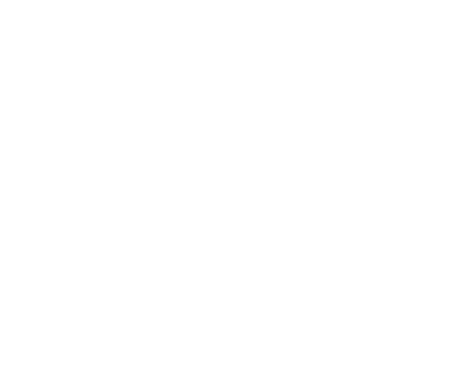 Tech & Marketing Agency - Project Assistant