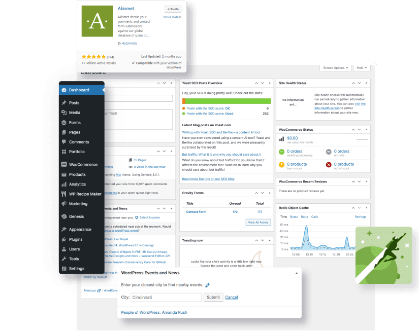 Custom WordPress Theme Development