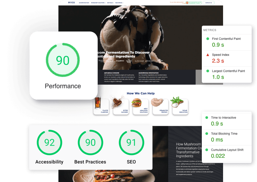 Website Audits