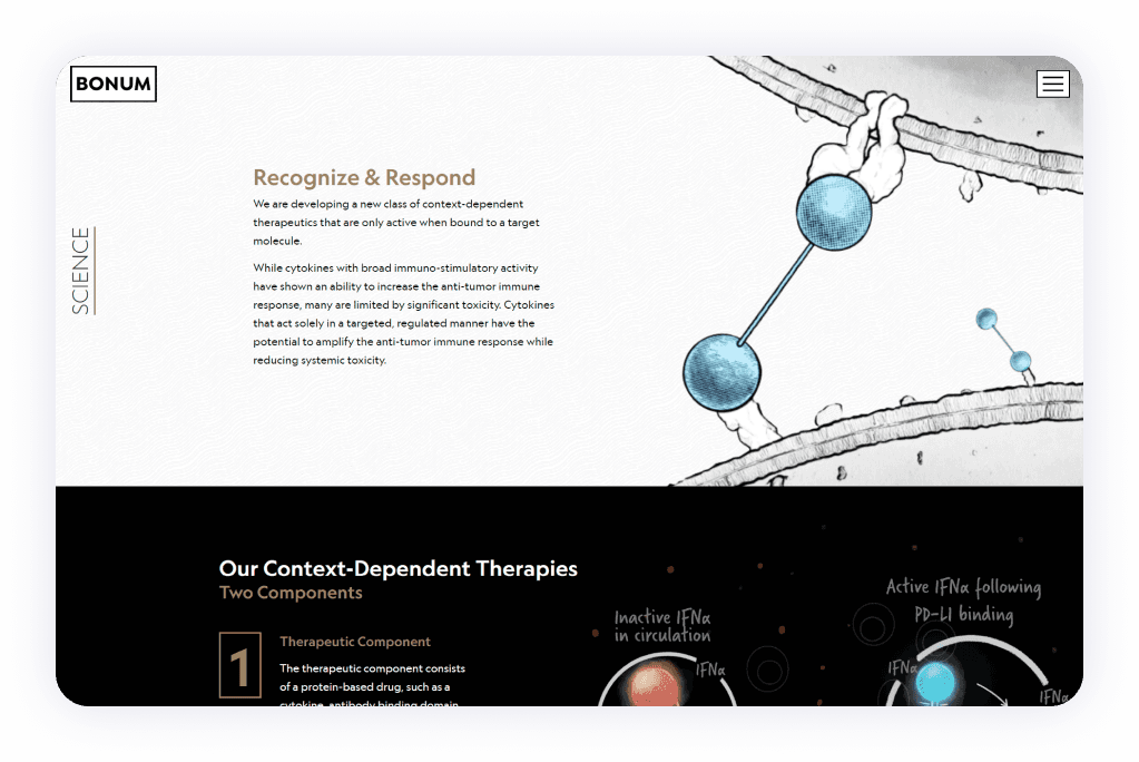 web2 (Bonum)